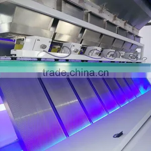 Factory Direct Supply White Kidney Bean Nut Color Sorter Machine thumbnail-3