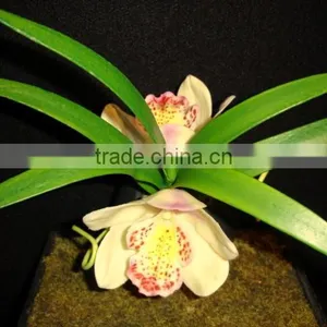 Fabric Flower thumbnail-1