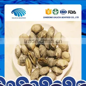Fresh Frozen Boiled Clam Variety Shell-On thumbnail-1