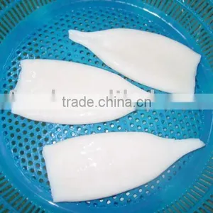 Frozen Squid Tube Seafood thumbnail-1
