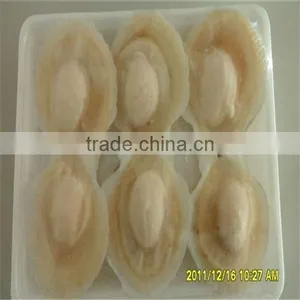 Best Iqf Bay Scallop Shells thumbnail-1