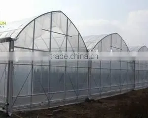 Economical Plastic Film Multi Tunnel Greenhouse for Sale thumbnail-1