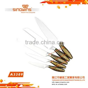 A3309-1 Great Style 5pcs Stainless Steel Knife Set Handle With Spray Printed thumbnail-1