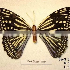 Realistic Handmade Handpainted Butterflies Collectibles (made of Rubber Leafs) thumbnail-1