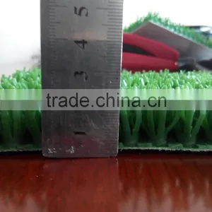 Environmental Protection Gold- Rush Grass thumbnail-1