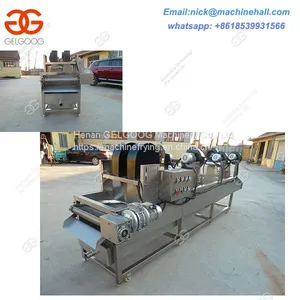 Automatic Fruit Drying Machine for Sale|Factory Vegetable Drying Machine With High Efficiency|Fried Potato Chips Drying thumbnail-3