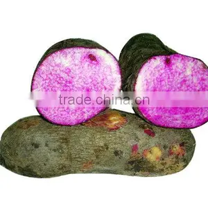 Fresh Yam Tubers Root From Vietnam thumbnail-1