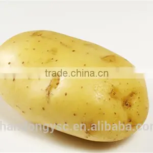 2016 New Crop Fresh Potato thumbnail-2
