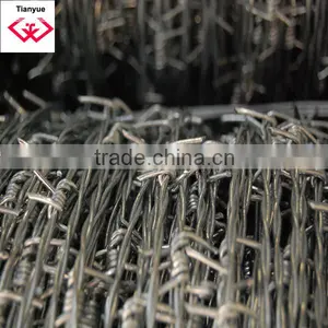 General Galvanized Barbed Wire Fence/Electro Galvanized Barbed Wire Fence/real Factory in Anping thumbnail-3