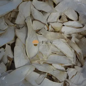 Dehydrated Dried King Oyster Mushroom Pleurotus Eryngii thumbnail-1