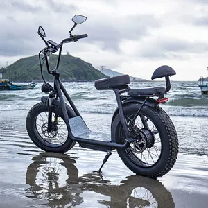 Two Wheels 1000W 20inch Fat Tire Electric Scooter thumbnail-1