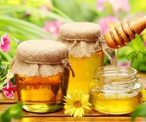 Natural Honey Bee Processing Making Machine With Good Price thumbnail-5