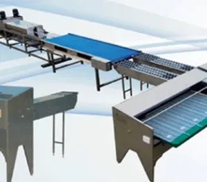 Egg Cleaning Sorting Packing Line thumbnail-4