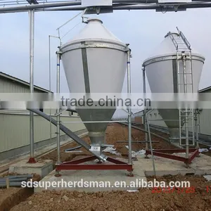 Main Feeding Line of Chicken Poultry Equipment thumbnail-1