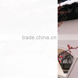 2015 Suzhou New Glass Window Film Building Decoration thumbnail-2