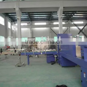 PE Film Packing Machine thumbnail-1