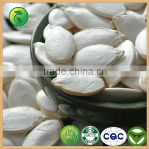 Organic Pumpkin Seeds in Shell Manufacturer thumbnail-1