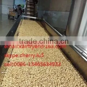 Auto Matic Fired Peanut Machine /roasted and Salted Peanut Machinary thumbnail-5