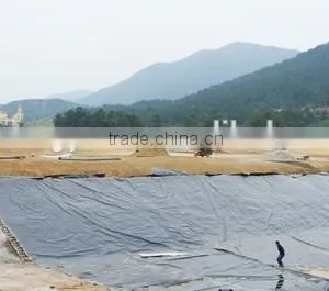 Cheap Roofing Materials Hdpe Geomembrane Cheap Price/hdpe Geomembrane Liner/waterproof Materials thumbnail-2