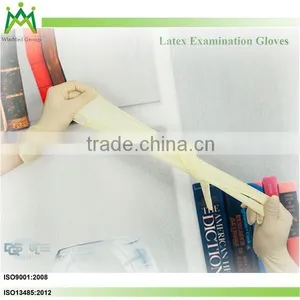 Gloves Manufacturer thumbnail-2
