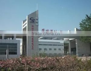 Shengrui Transmission Corporate Limited company overview - view 3 thumbnail