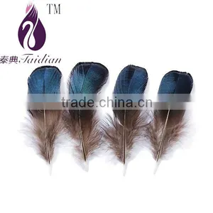 DIY Accesoried Feathers,blue Pheasant Tail Feathers thumbnail-1