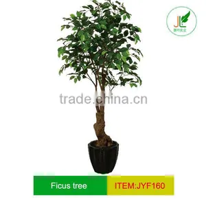 Artificial Ficus Tree for Decoration,craft Tree thumbnail-1