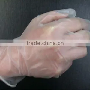 Disposable Vinyl Hand Gloves thumbnail-1