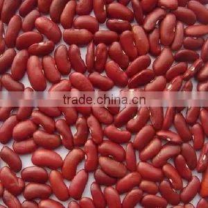 Supply Hot Sale English Red Kidney Beans With Competitive Price thumbnail-3