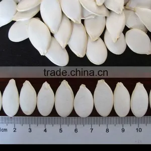 Shine Skin and Snow White Pumpkin Seeds thumbnail-2