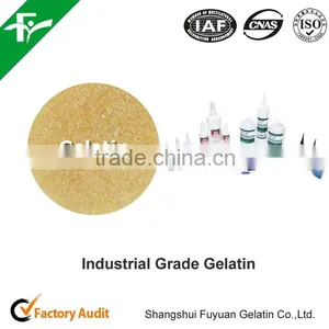 Gelatin in Granular With Packing 50kg / Bag Used in Industrial Chemicals as a Binder thumbnail-5