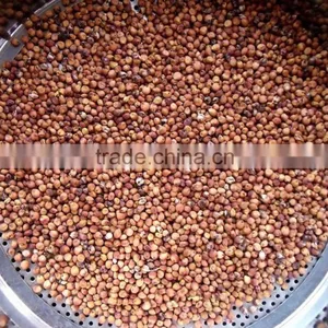 Red Sorghum With Best Price thumbnail-1