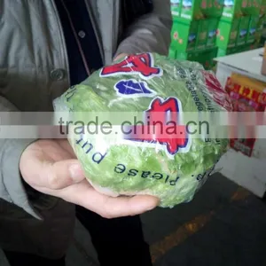 Fresh Lettuce thumbnail-4