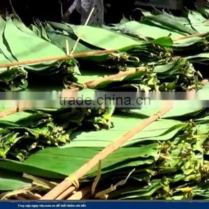Bamboo Leaves thumbnail-1