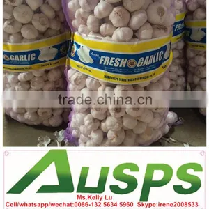 Garlic Mesh Bag thumbnail-1
