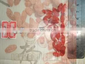 GOJI BERRY thumbnail-1