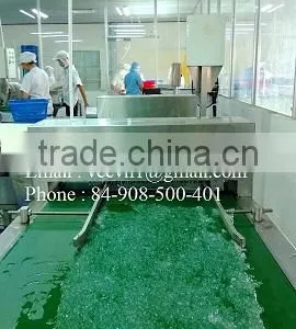 Vietcoco International Company Limited company overview - view 1 thumbnail