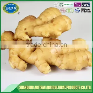 Fresh Ginger Price in China thumbnail-2