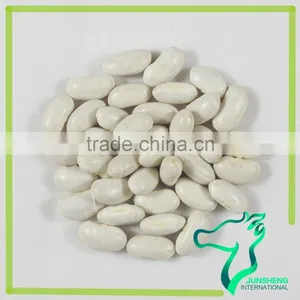 All Types of Dried White Kidney Beans For Canned thumbnail-1