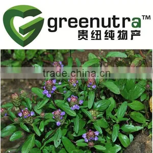 Common Selfheal Spike Extract/Common Selfheal Extract/Isodonis Japonicus Extract thumbnail-1