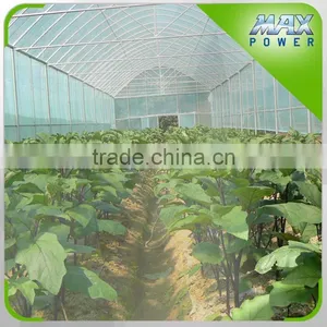 Sky Window With Manual Roller For Film Greenhouse thumbnail-1