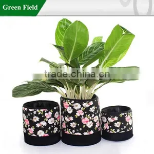 Green Field New Hydroponics Flower Planter Wholesale thumbnail-1