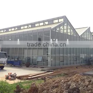 Hot Sale the Cheapest and Easily Assembled Agricultural Glass Greenhouse for Sale thumbnail-1