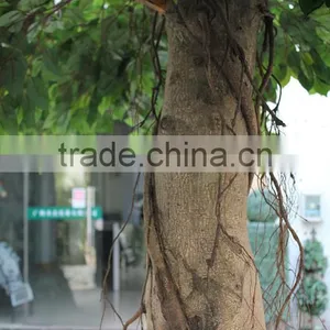 Export High Similarity Artificial Banyan Tree thumbnail-3