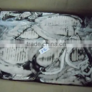 Frozen Cuttlefish Whole thumbnail-1