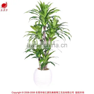 Best Selling Items Large Plastic Ficus Bonsai Tree for Outdoor Decoration thumbnail-1