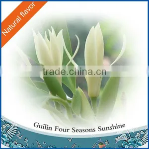 C10H18O Michelia Flower Oil(Magnolia Flower Oil)pure Essential Oil thumbnail-1