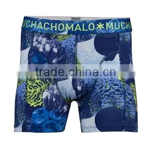 Jacquard Logo Outside Elastic Mens Nice Blue AOP Shorts thumbnail-1