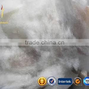 Dehaired Cashmere Cable Fiber With SGS thumbnail-1