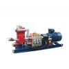 BPW 315/10（16） Atomizing Pump thumbnail-1